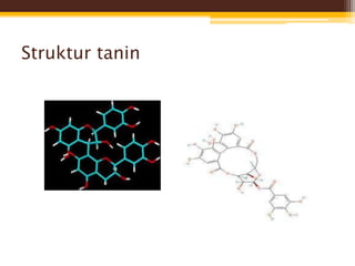 Tanin pp | PPTX