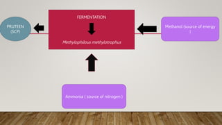 FERMENTATION
Methylophilous methylotrophus
Methanol (source of energy
)
Ammonia ( source of nitrogen )
PRUTEEN
(SCP)
 