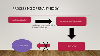 PROCESSING OF RNA BY BODY :
nucleases - pancreatic juice
+ intestinal juices
converted into nucleosides
nucleic acid eaten
URIC ACID
ALLANTONIN
 