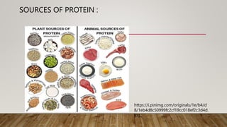 SOURCES OF PROTEIN :
https://i.pinimg.com/originals/1e/b4/d
8/1eb4d8c50999fc2cf19cc018ef2c3d4d.
jpg
 