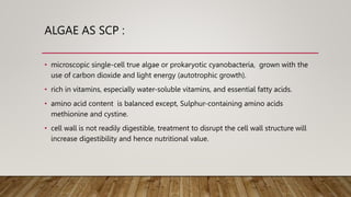 ALGAE AS SCP :
• microscopic single-cell true algae or prokaryotic cyanobacteria, grown with the
use of carbon dioxide and light energy (autotrophic growth).
• rich in vitamins, especially water-soluble vitamins, and essential fatty acids.
• amino acid content is balanced except, Sulphur-containing amino acids
methionine and cystine.
• cell wall is not readily digestible, treatment to disrupt the cell wall structure will
increase digestibility and hence nutritional value.
 