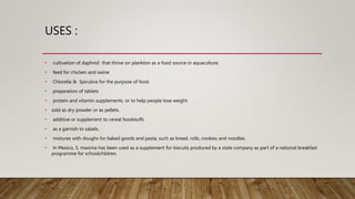 USES :
• cultivation of daphnid that thrive on plankton as a food source in aquaculture.
• feed for chicken and swine
• Chlorella & Spirulina for the purpose of food.
• preparation of tablets
• protein and vitamin supplements, or to help people lose weight.
• sold as dry powder or as pellets.
• additive or supplement to cereal foodstuffs
• as a garnish to salads.
• mixtures with doughs for baked goods and pasta, such as bread, rolls, cookies and noodles.
• In Mexico, S. maxima has been used as a supplement for biscuits produced by a state company as part of a national breakfast
programme for schoolchildren.
 