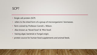SCP?
• Single cell protein (SCP)
• refers to the dried form of a group of microorganisms’ biomasses.
• Term coined by Professor Carroll L. Wilson.
• Also known as ‘Novel food’ & ‘Mini food’.
• having algal, bacterial or fungal origin.
• protein source for human food supplements and animal feeds.
 