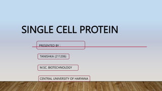 SINGLE CELL PROTEIN
PRESENTED BY :
TANISHKA (211206)
M.SC. BIOTECHNOLOGY
CENTRAL UNIVERSITY OF HARYANA
 