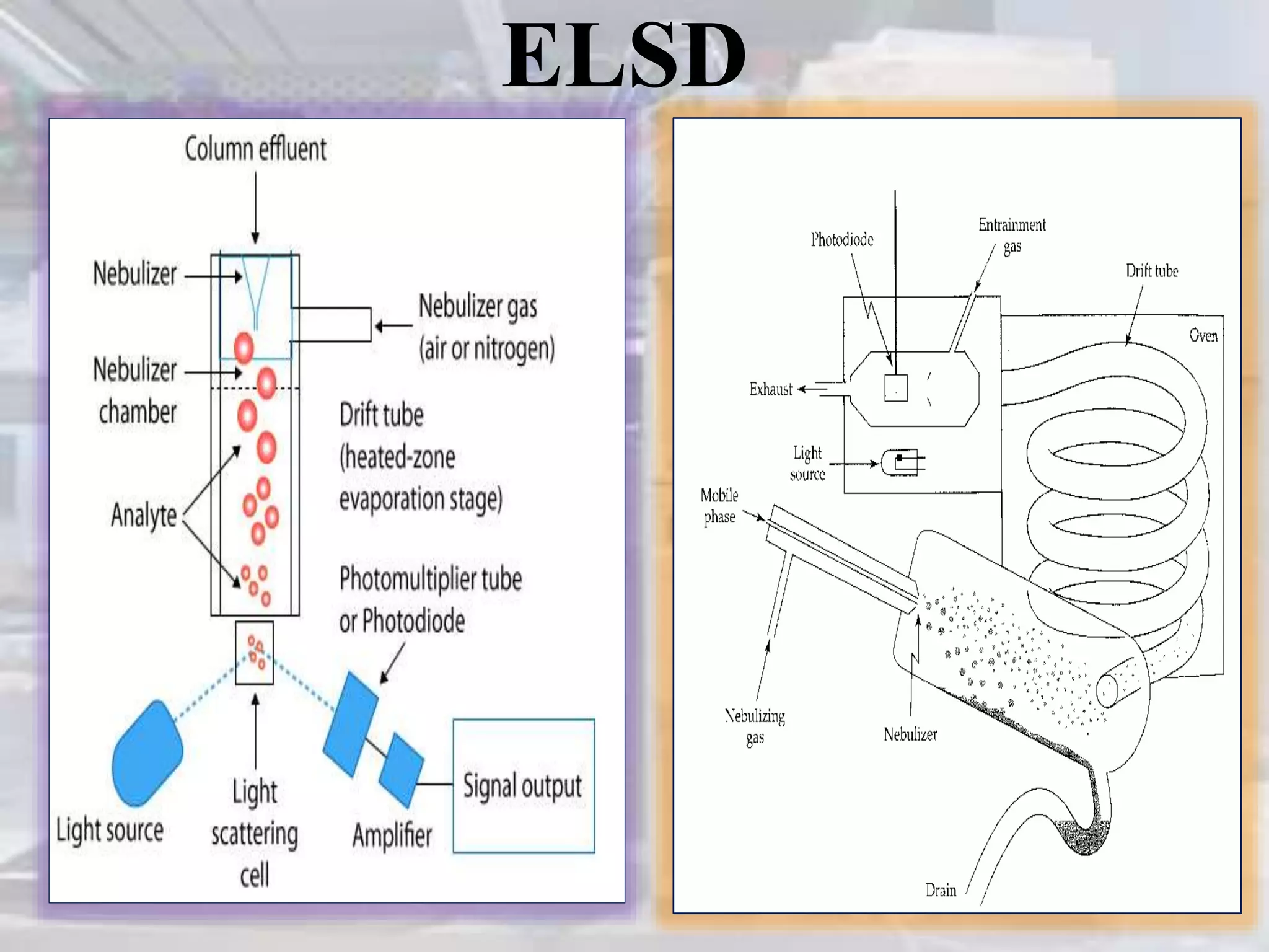 ELSD
 