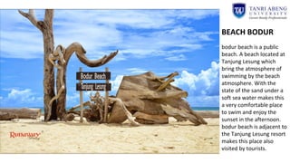 BEACH BODUR
bodur beach is a public
beach. A beach located at
Tanjung Lesung which
bring the atmosphere of
swimming by the beach
atmosphere. With the
state of the sand under a
soft sea water makes this
a very comfortable place
to swim and enjoy the
sunset in the afternoon.
bodur beach is adjacent to
the Tanjung Lesung resort
makes this place also
visited by tourists.
 