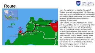 Route
From the capital city of Jakarta, the cape of
Tanjung Lesung is approximately 160 Kilometers
away and can be reached by rented car or public
bus in about 3 to 4 hours’ drive. The roads are in
relatively good condition with beautiful
sceneries at some spots.
From Jakarta, you can take the Jakarta-Merak
Toll Road, and take the exit of East Serang. After
passing Serang, the road will take you to the
town of Pandeglang, Labuan, and eventually
arrive at Tanjung Lesung. Alternatively you can
take the Cilegon exit, then take the road xouth
from the north coast of Banten, passing Anyer
and Carita Beach in the direction of Labuan.
If you prefer public transport, from Jakarta you
can take the bus in to the Labuan Bus Station,
then continue your journey by Ojek or
Motorbike Taxis to Tanjung Lesung.
 
