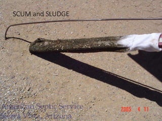 SCUM and SLUDGE
 
