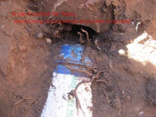 It can Function for Years,
without being noticed until soil around tank is saturated.
 