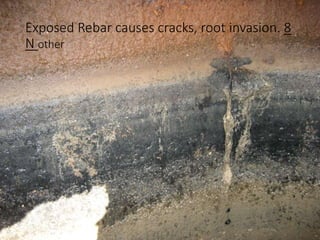 Exposed Rebar causes cracks, root invasion. 8
N other
 
