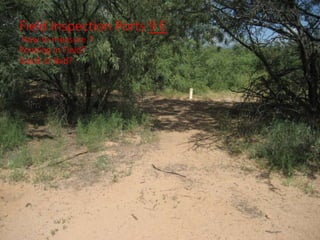 Field Inspection Ports 9 E
How to measure ?
Ponding in Field?
Good or Bad?
 