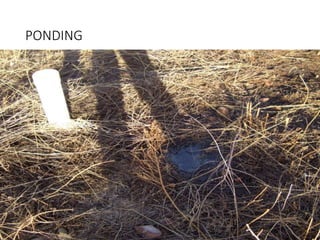 PONDING
 