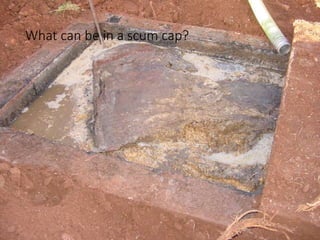What can be in a scum cap?
 