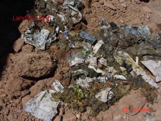 Landfill Trash
 