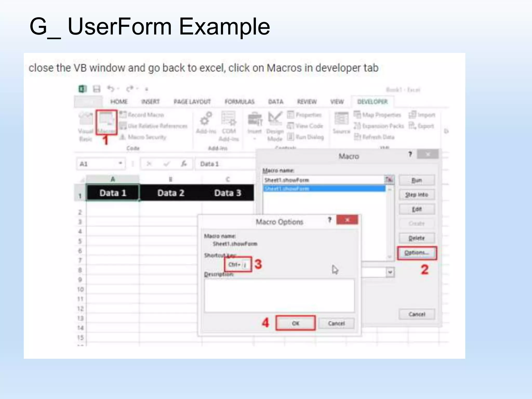 G_ UserForm Example 