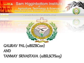 GAURAV PAL (12BSZBC021) 
AND 
TANMAY SRIVASTAVA (12BSLSCFS015) 
 