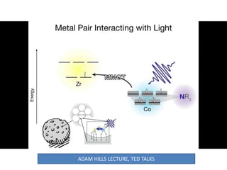 ADAM HILLS LECTURE, TED TALKS
 