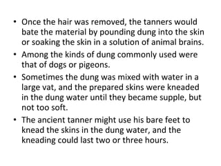 Once the hair was removed, the tanners would bate the material by pounding dung into the skin or soaking the skin in a solution of animal brains.  Among the kinds of dung commonly used were that of dogs or pigeons.  Sometimes the dung was mixed with water in a large vat, and the prepared skins were kneaded in the dung water until they became supple, but not too soft.  The ancient tanner might use his bare feet to knead the skins in the dung water, and the kneading could last two or three hours. 