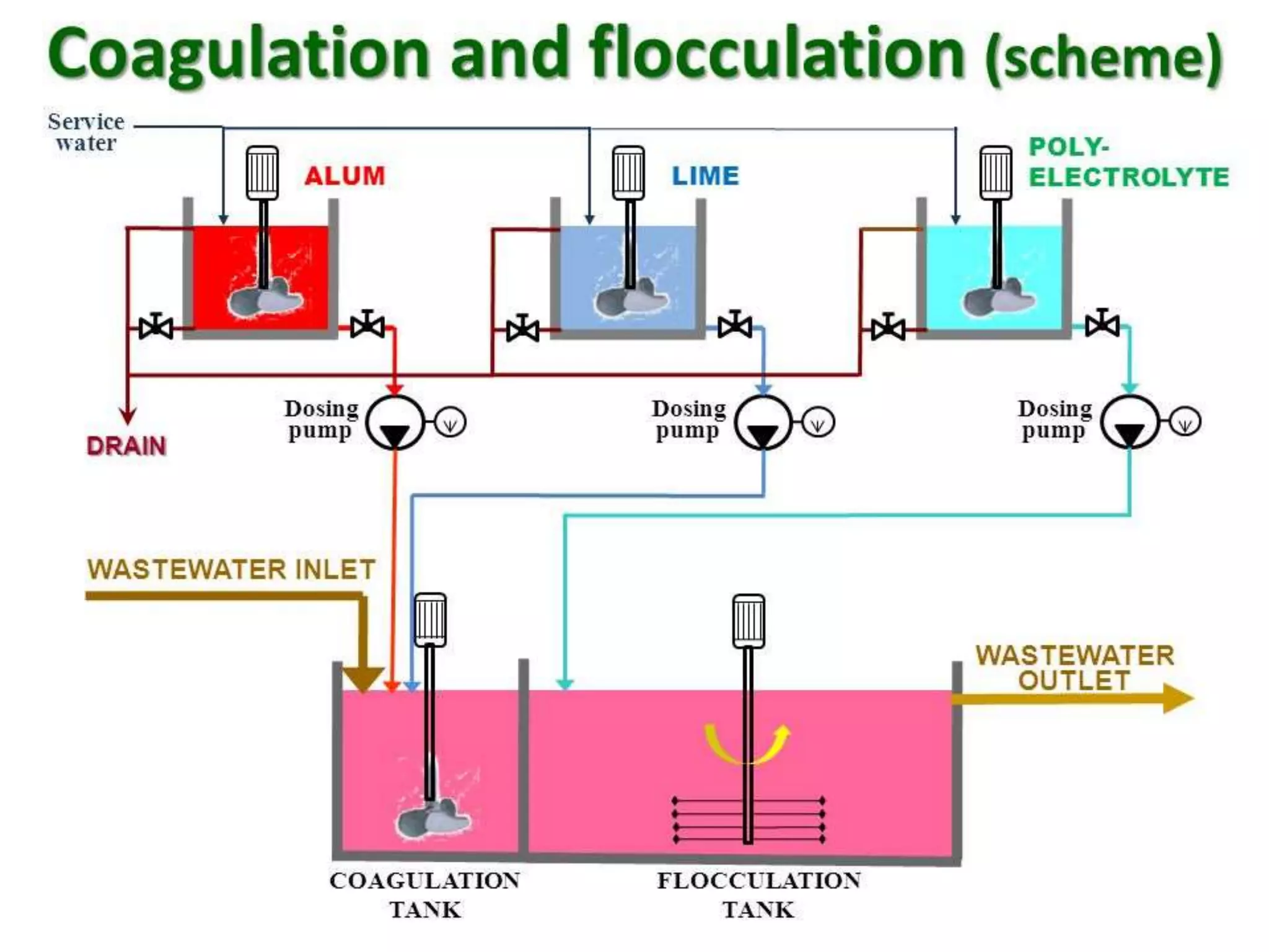 tannery industry operation, process and treatment | PPTX