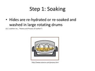 Step 1: SoakingHides are re-hydrated or re-soaked and washed in large rotating drums(C.C. Leathers Inc., “History and Process of Leather”) http://www.cotance.com/process.htm