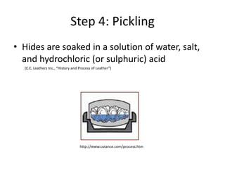 Step 4: PicklingHides are soaked in a solution of water, salt, and hydrochloric (or sulphuric) acid(C.C. Leathers Inc., “History and Process of Leather”) http://www.cotance.com/process.htm