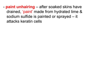 - paint unhairing – after soaked skins have
drained, ‘paint’ made from hydrated lime &
sodium sulfide is painted or sprayed – it
attacks keratin cells
 