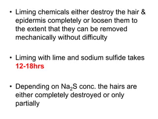 • Liming chemicals either destroy the hair &
epidermis completely or loosen them to
the extent that they can be removed
mechanically without difficulty
• Liming with lime and sodium sulfide takes
12-18hrs
• Depending on Na2S conc. the hairs are
either completely destroyed or only
partially
 
