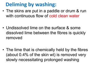 Deliming by washing:
• The skins are put in a paddle or drum & run
with continuous flow of cold clean water
• Undissolved lime on the surface & some
dissolved lime between the fibres is quickly
removed
• The lime that is chemically held by the fibres
(about 0.4% of the skin wt) is removed very
slowly necessitating prolonged washing
 