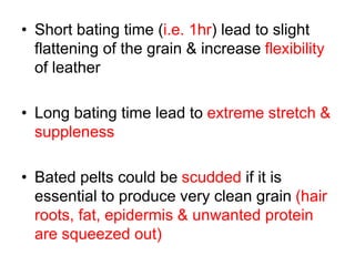 • Short bating time (i.e. 1hr) lead to slight
flattening of the grain & increase flexibility
of leather
• Long bating time lead to extreme stretch &
suppleness
• Bated pelts could be scudded if it is
essential to produce very clean grain (hair
roots, fat, epidermis & unwanted protein
are squeezed out)
 
