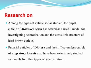 Research on
 Among the types of cuticle so far studied, the pupal
cuticle of Manduca sexta has served as a useful model for
investigating sclerotization and the cross-link structure of
hard brown cuticle.
 Puparial cuticles of Diptera and the stiff colourless cuticle
of migratory locusts also have been extensively studied
as models for other types of sclerotization.
 