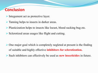 Conclusion
 Integument act as protective layer.
 Tanning helps to insects in darker areas.
 Plasticization helps to insects like locust, blood sucking bug etc.
 Sclerotized areas usages like flight and cutting.
 One major goal which is completely negleted at present is the finding
of suitable and highly effective inhibitors for sclerotization.
 Such inhibitors can effectively be used as new insecticides in future.
 