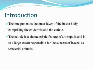 Introduction
The integument is the outer layer of the insect body,
comprising the epidermis and the cuticle.
The cuticle is a characteristic feature of arthropods and is
to a large extent responsible for the success of insects as
terrestrial animals.
 