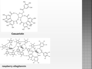 Casuarictin
raspberry ellagitannin
 