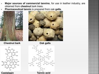  Major sources of commercial tannins, for use in leather industry, are
obtained from chestnut bark trees.
 Pharmaceutical tannin is prepared from oak galls.
Chestnut bark
Castalagin
Oak galls
Tannic acid
 