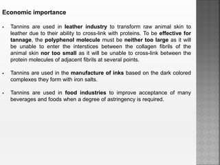 Economic importance
 Tannins are used in leather industry to transform raw animal skin to
leather due to their ability to cross-link with proteins. To be effective for
tannage, the polyphenol molecule must be neither too large as it will
be unable to enter the interstices between the collagen fibrils of the
animal skin nor too small as it will be unable to cross-link between the
protein molecules of adjacent fibrils at several points.
 Tannins are used in the manufacture of inks based on the dark colored
complexes they form with iron salts.
 Tannins are used in food industries to improve acceptance of many
beverages and foods when a degree of astringency is required.
 