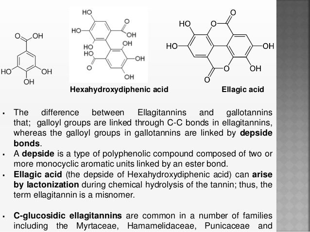 galloyl glucose structure Tannins galloyl glucose structure Tannins