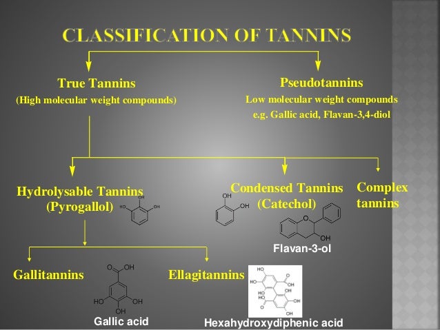 5 enzymes properties of Tannins