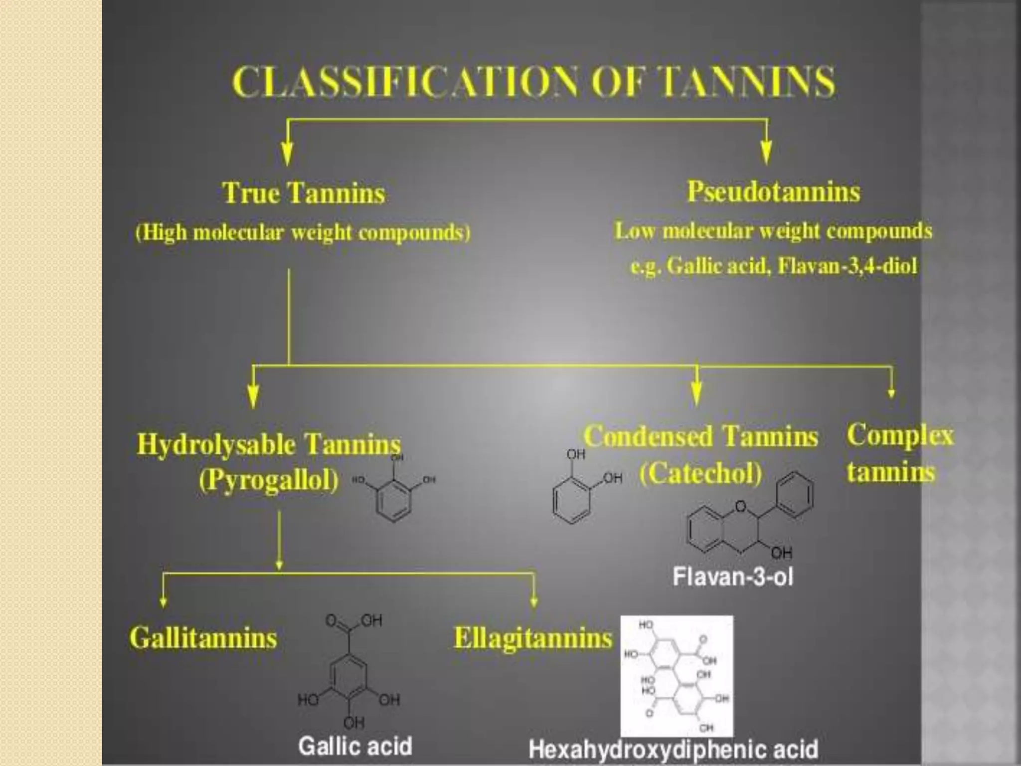 Core Short (Tannin) main image 1