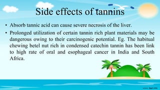 Side effects of tannins
• Absorb tannic acid can cause severe necrosis of the liver.
• Prolonged utilization of certain tannin rich plant materials may be
dangerous owing to their carcinogenic potential. Eg. The habitual
chewing betel nut rich in condensed catechin tannin has been link
to high rate of oral and esophageal cancer in India and South
Africa.
 
