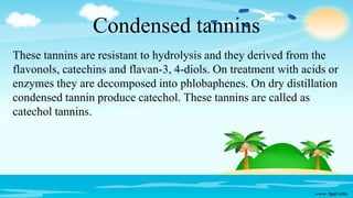 Condensed tannins
These tannins are resistant to hydrolysis and they derived from the
flavonols, catechins and flavan-3, 4-diols. On treatment with acids or
enzymes they are decomposed into phlobaphenes. On dry distillation
condensed tannin produce catechol. These tannins are called as
catechol tannins.
 
