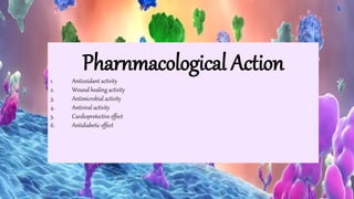 Pharnmacological Action
1. Antioxidant activity
2. Wound healing activity
3. Antimicrobial activity
4. Antiviral activity
5. Cardioprotective effect
6. Antidiabetic effect
 