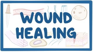 Wound healing
effect
 