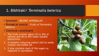 2. Bibhitaki/ Terminalia belerica
• Synonym – BELERIC MYROBALAN
• Biological source – Fruits of Terminalia
belerica
• Chemical constituent –
1. The fruits contain about 20 to 30% of
tannins and 40 to 45% water-soluble
extractives.
2. It contains colouring matter and its seeds
contain non-edible oil.
3. It also contains most of the sugars as
reported in myrobalan.
 