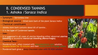 B. CONDENSED TANNINS
1. Ashoka /Saraca indica
• Synonym – Sorrowless tree
• Biological source – Dried stem bark of the plant Saraca indica
• Chemical constituent –
• Ashoka stem bark contains about 6% of tannins .
• It is the type of Condensed tannin.
• Uses –
• It is suggested in all cases of uterine bleeding either abnormal uterine
bleeding or excessive menstrual bleeding (Menorrhagia).
• Chemical Tests -
• Powdered bark, when treated with saturated picric acid solution,
remains brown for 10 minutes and then slowly turns to orange yellow.
• Powdered bark gives a deep chocolate color with 5% KOH solution.
 