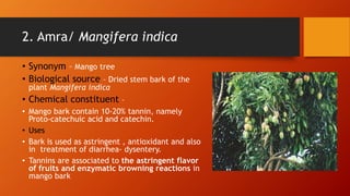 2. Amra/ Mangifera indica
• Synonym – Mango tree
• Biological source – Dried stem bark of the
plant Mangifera indica
• Chemical constituent –
• Mango bark contain 10-20% tannin, namely
Proto-catechuic acid and catechin.
• Uses
• Bark is used as astringent , antioxidant and also
in treatment of diarrhea- dysentery.
• Tannins are associated to the astringent flavor
of fruits and enzymatic browning reactions in
mango bark
 