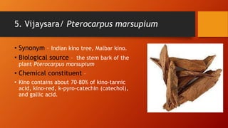 5. Vijaysara/ Pterocarpus marsupium
• Synonym – Indian kino tree, Malbar kino.
• Biological source – the stem bark of the
plant Pterocarpus marsupium
• Chemical constituent –
• Kino contains about 70–80% of kino-tannic
acid, kino-red, k-pyro-catechin (catechol),
and gallic acid.
 