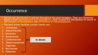 Occurrence
• Tannins are distributed in species throughout the plant kingdom. They are commonly
found in both gymnosperms and angiosperms. Mole studied the distribution of tannin in
180 families of dicotyledons and 44 families of monocotyledons.
• The best known families contain tannin are:
1. Aceraceae
2. Anacardiaceae
3. Moraceae
4. Burseraceae
5. Combretaceae
6. Dipterocarpaceae
7. Fagaceae
8. Myricaceae
9. Fabaceae
In dicots
 