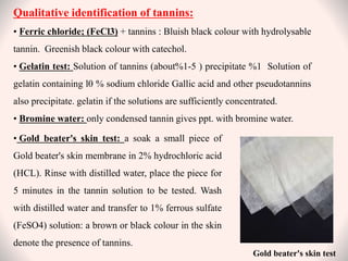 Qualitative identification of tannins:
• Ferric chloride; (FeCl3) + tannins : Bluish black colour with hydrolysable
tannin. Greenish black colour with catechol.
• Gelatin test: Solution of tannins (about 5
-
1
% ) precipitate 1
% Solution of
gelatin containing l0 % sodium chloride Gallic acid and other pseudotannins
also precipitate. gelatin if the solutions are sufficiently concentrated.
• Bromine water: only condensed tannin gives ppt. with bromine water.
Gold beater's skin test
• Gold beater's skin test: a soak a small piece of
Gold beater's skin membrane in 2% hydrochloric acid
(HCL). Rinse with distilled water, place the piece for
5 minutes in the tannin solution to be tested. Wash
with distilled water and transfer to 1% ferrous sulfate
(FeSO4) solution: a brown or black colour in the skin
denote the presence of tannins.
 