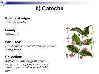 b) Catechu
Botanical origin:
Uncaria gambir
Family:
Rubiaceae
Part used:
Dried aqueous extract from leaves and
young twigs
Collection:
Boil leaves and twigs in water.
Evaporate to a pasty consistency.
Paste is put in cubes and dried in
sun.
 