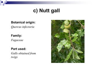 c) Nutt gall
Botanical origin:
Quercus infectoria
Family:
Fagaceae
Part used:
Galls obtained from
twigs
 
